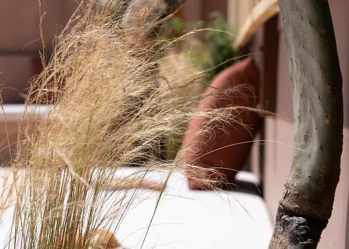 Qualia Slowlife Szálloda *